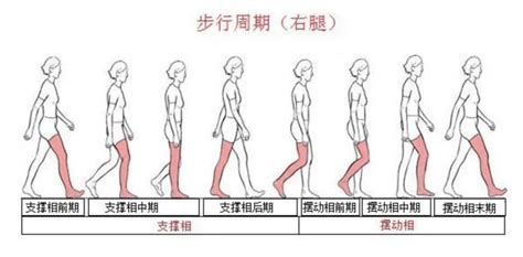 走路姿势|你真的会走路吗？正确走路需注意身体部位的协调